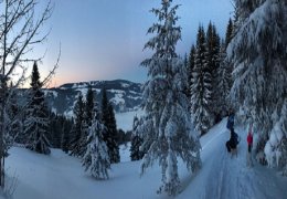 Aussicht